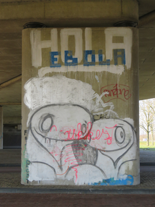 829531 Afbeelding van graffiti met o.a. de tekst HOLA EBOLA , op een pijler onder het viaduct van de A27 over de ...
